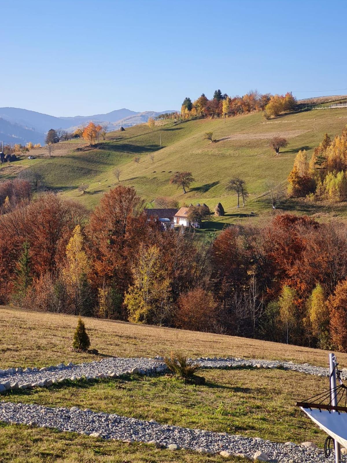 My Little Village Poiana Mărului Exterior foto